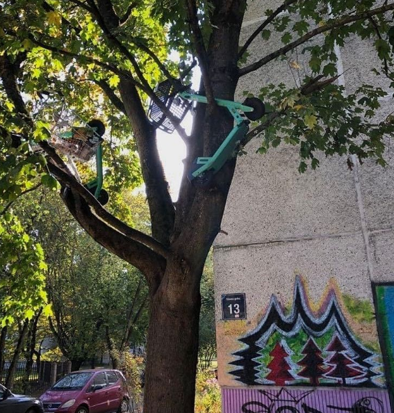 Неизвестные в Иманте «припарковали» электросамокаты на дереве