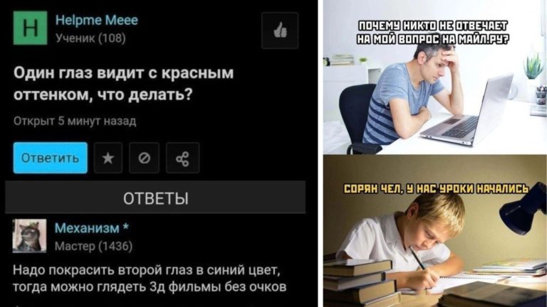 Когда IQ очень средненький:? смешные ответы на вопросы, заданные в интернете