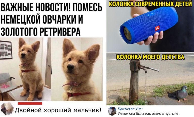 Забавные комментарии, которые как острый соус приправляют сам пост