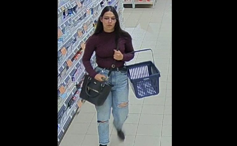 Госполиция просит помощи в поиске подозреваемой в краже