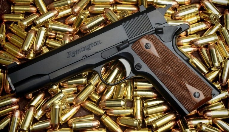 Сейм принял поправки к закону об обороте оружия: неграждан и лиц с ВНЖ его лишат