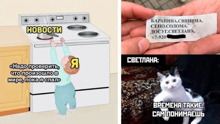 Прикольные картинки с надписями и последние новости