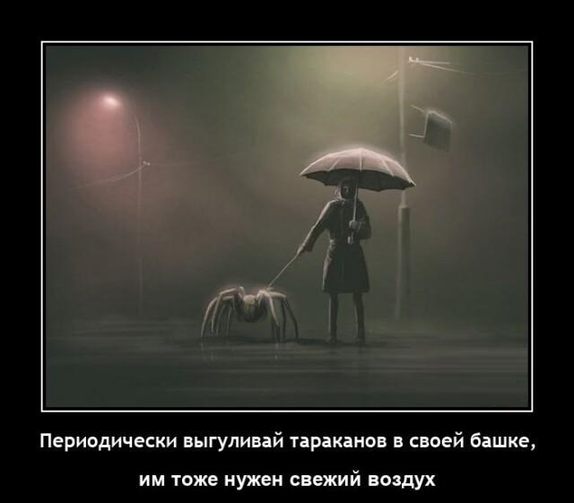 Новые демотиваторы и выгул тараканов