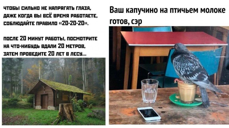 Прикольные картинки с надписями и капучино на птичьем молоке