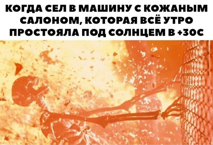 Автомобильные мемы и приколы для тех, кто с ветерком и юмором