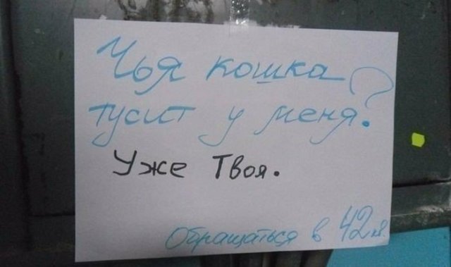 Это что за покемон? 13 смешные объявления о пропавших животных