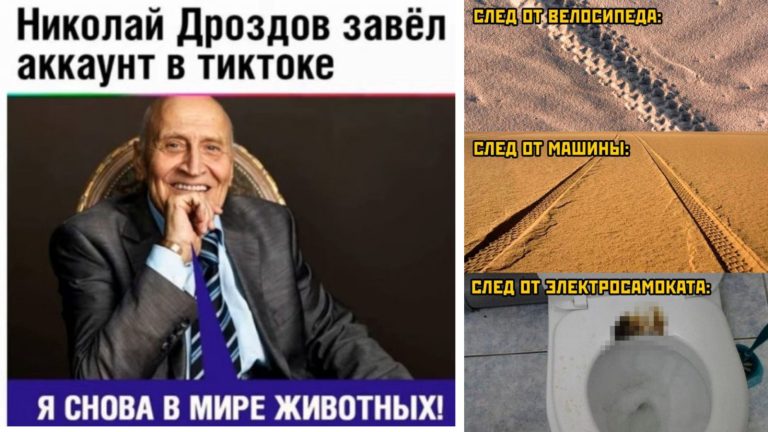 Прикольные картинки с надписями и мир животных