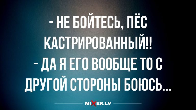 Юмор за день и пёсик