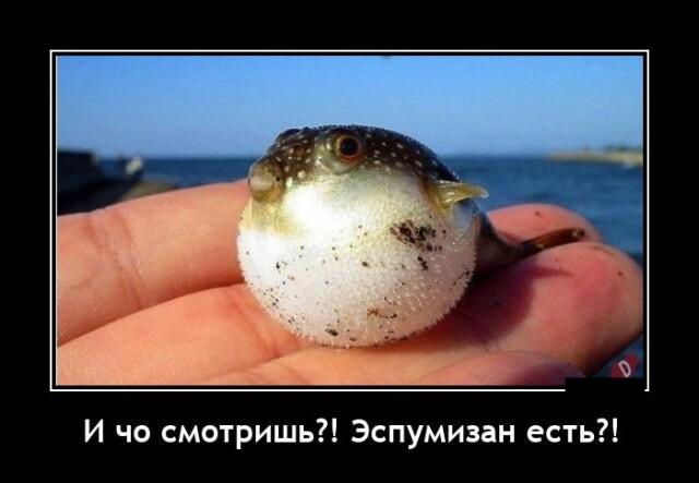 Новые демотиваторы и сильное вздутие