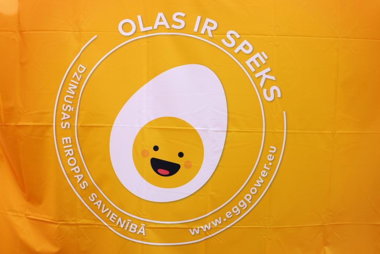 На Домской площади отпраздновали Всемирный день яиц