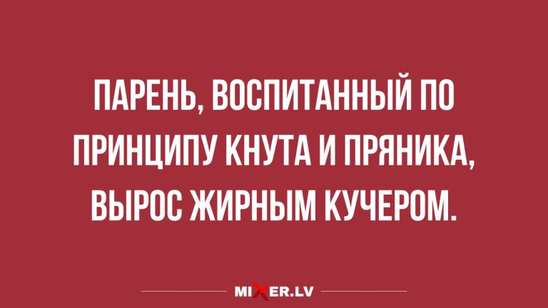 Юмор за день жирный кучер