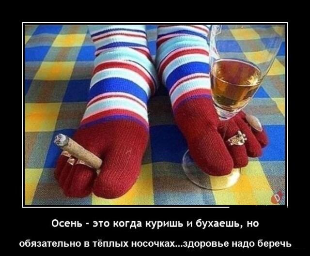 Новые демотиваторы и тёплые носочки
