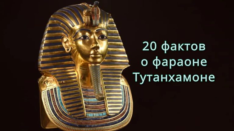 20 удивительных фактов о фараоне Тутанхамоне