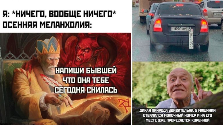 Прикольные картинки с надписями и молочный номер
