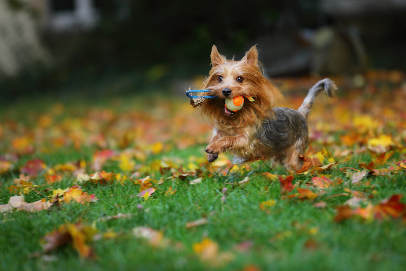 Европейские синоптики озвучили прогноз погоды на ноябрь
