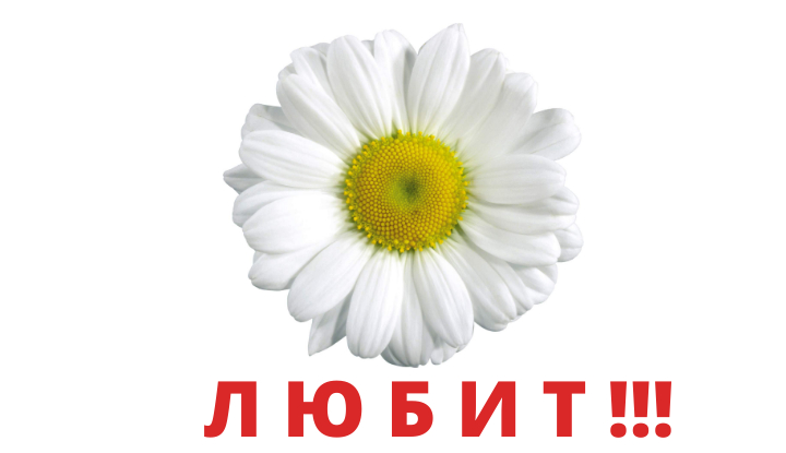 Как проверить, действительно ли ваш партнер вас любит. 5 признаков