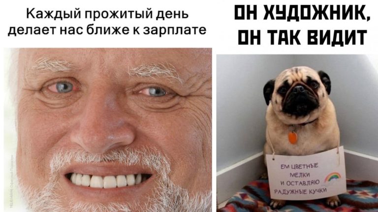 Прикольные картинки с надписями и как видит художник