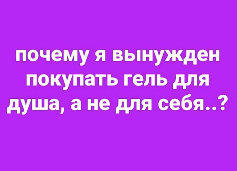 Юмор за день и новый друг