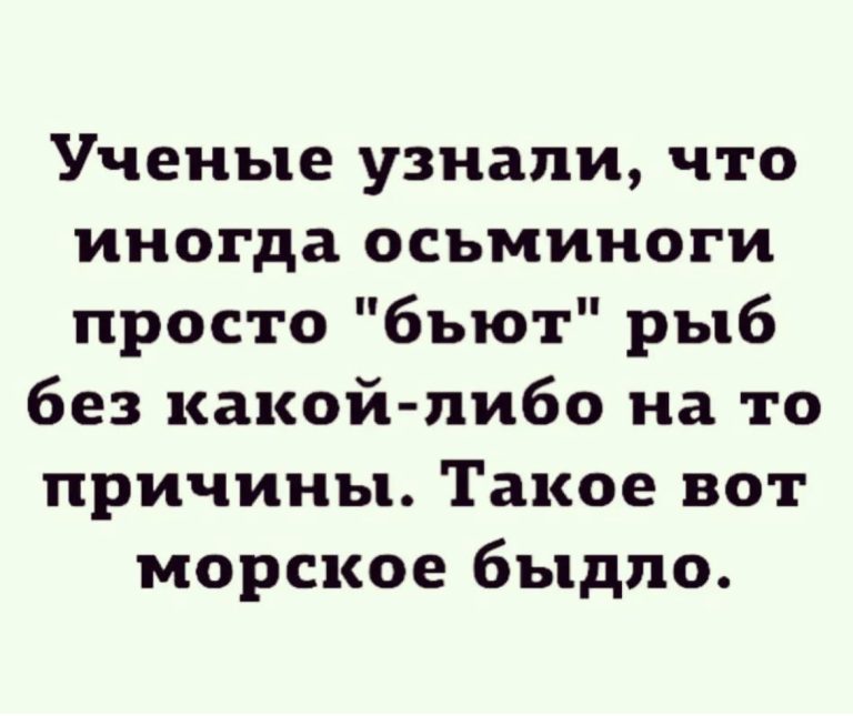 Юмор за день и морское быдло
