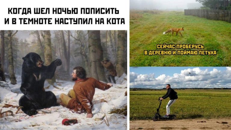 Прикольные картинки с надписями и лиса в деревне