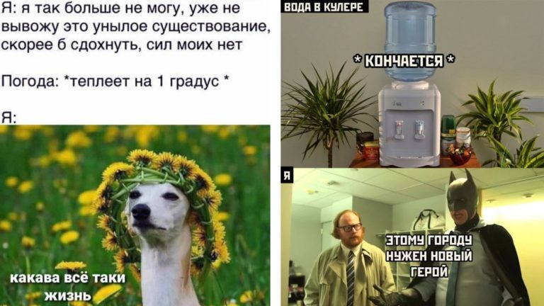 Прикольные картинки с надписями и новый герой
