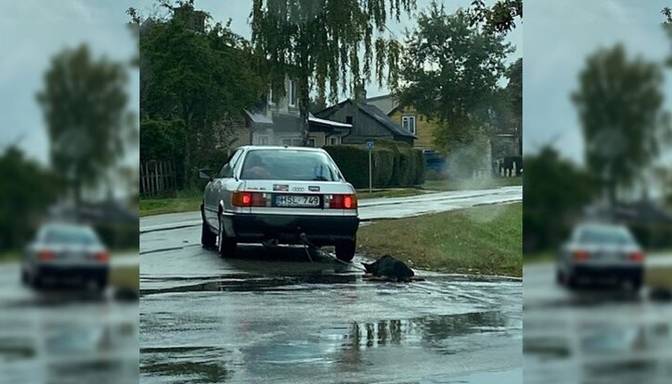 В Литве пожарный тащил за машиной привязанную собаку. Местные жители шокированы увиденным