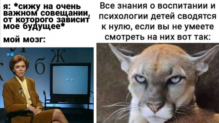 Прикольные картинки с надписями и воспитательный взгляд