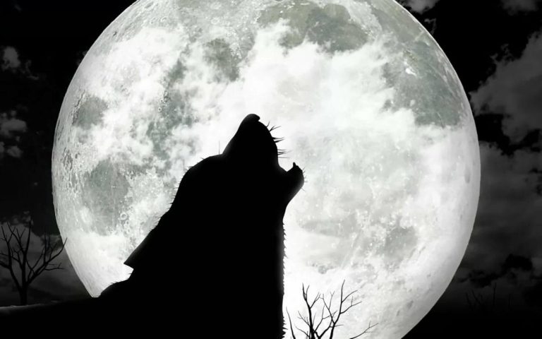Тяжелое полнолуние 9 октября: как провести этот день, чтобы избежать неприятностей