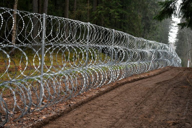 Процесс пошел: на границе с Беларусью построены первые 14 км забора