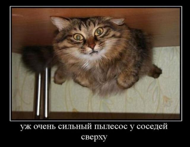 Новые демотиваторы и сильный пылесос