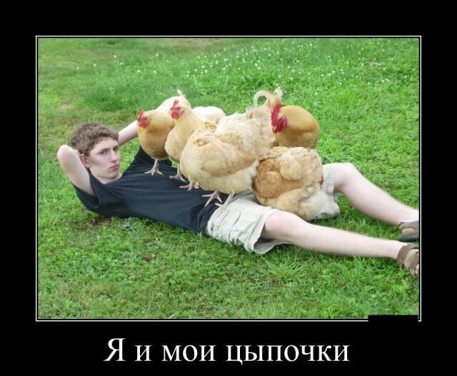 Новые демотиваторы и популярный мужчина