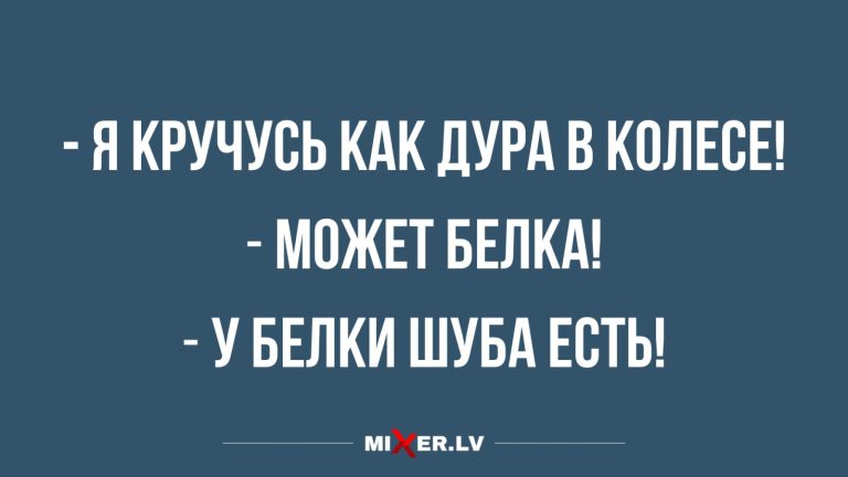 Юмор за день белка в шубе