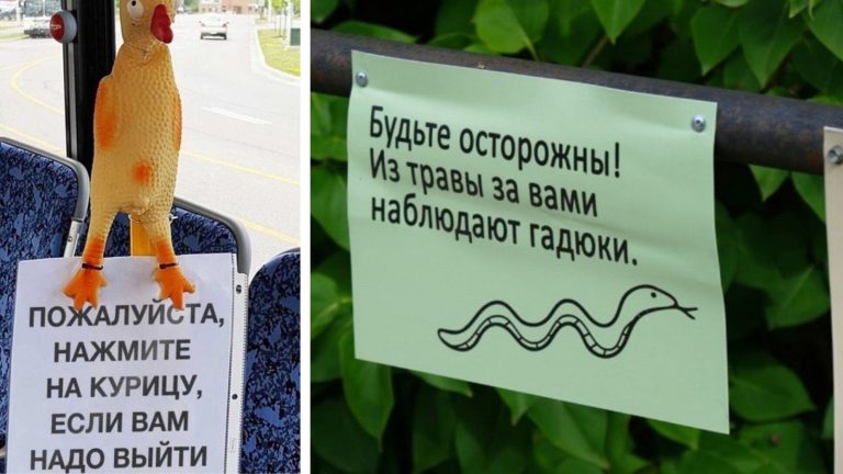 18 объявлений из которых вы не узнаете ничего нового, но хоть улыбнетесь
