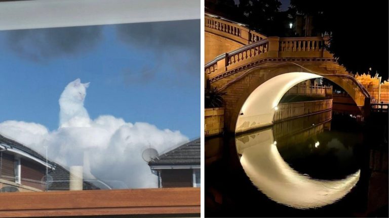 15 фотографий, на которых всё так идеально, что выглядит как Photoshop