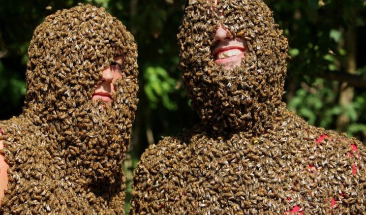 Глазам не верю! 10 самых невероятных хобби