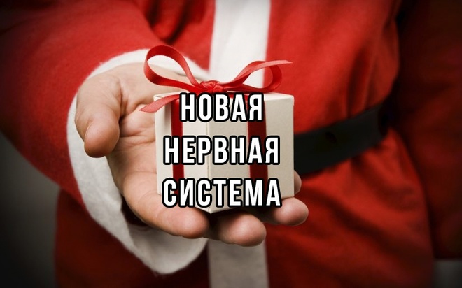 Тельцам- в плюше, Девам- в обтягивающих нарядах: в чем встречать 2023 год женским знакам Зодиака