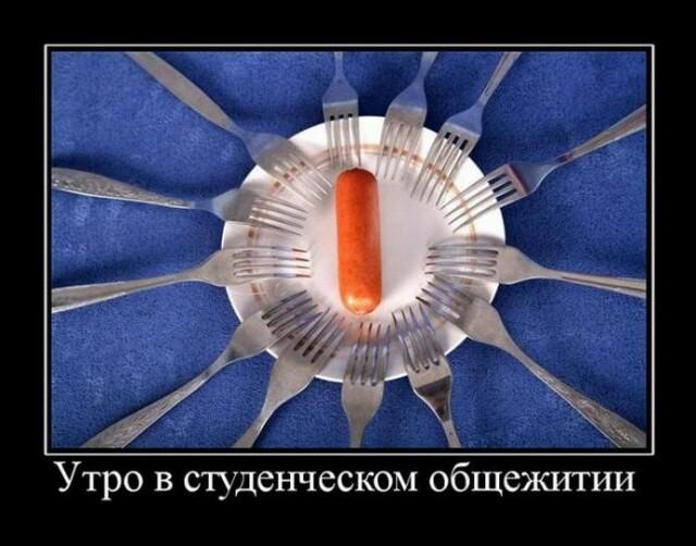 Новые демотиваторы и студенческий завтрак