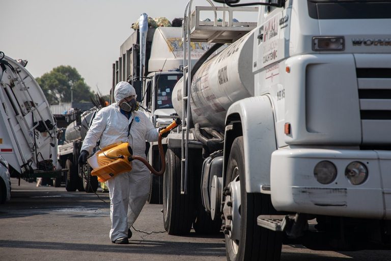 В США — нашествие тараканов, власти перекрывают улицы
