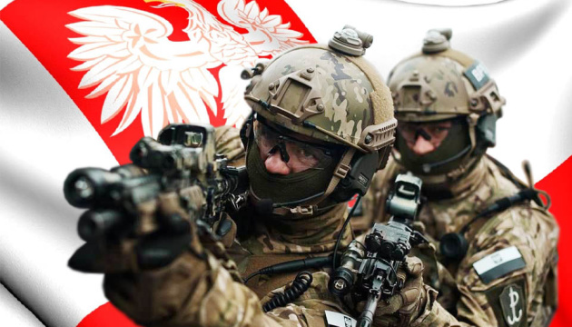 Польша намерена обогнать Германию по численности армии и стать европейской военной сверхдержавой