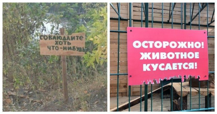 Философские и юморные, серьёзные и не очень: 18 табличек на все случаи жизни