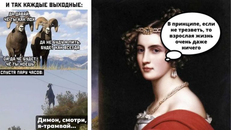 Пост алкогольного юмор на выходные и взрослая жизнь