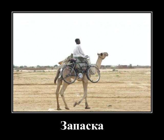 Новые демотиваторы и запасное колесо