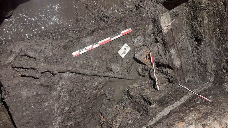 Латвийские археологи обнаружили древнейшую часть Риги — на ней жили ливы