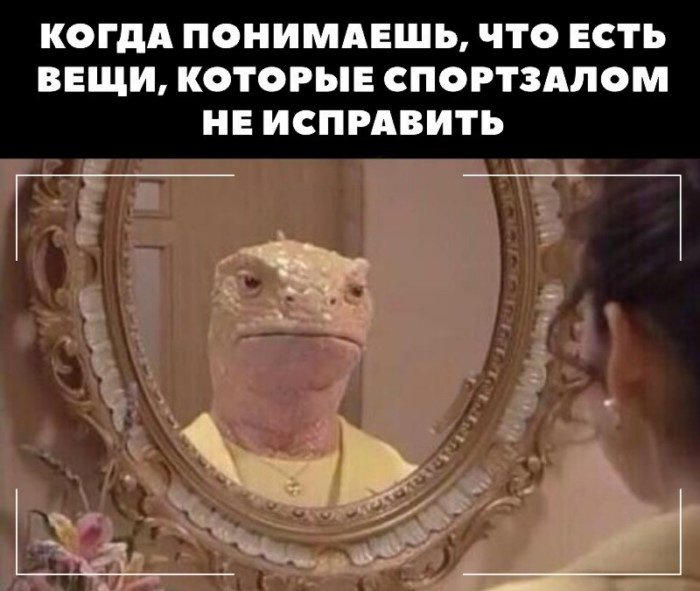 Если рептилойдов не существует, кто написал этот пост мемов и шуточек про теории заговора