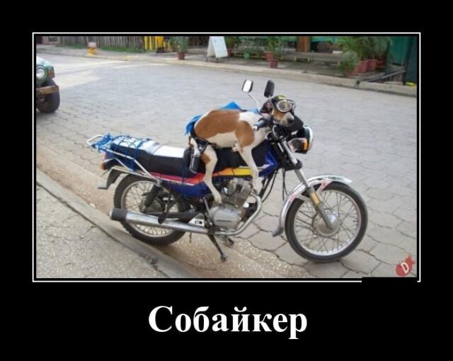 Новые демотиваторы и усталый байкер