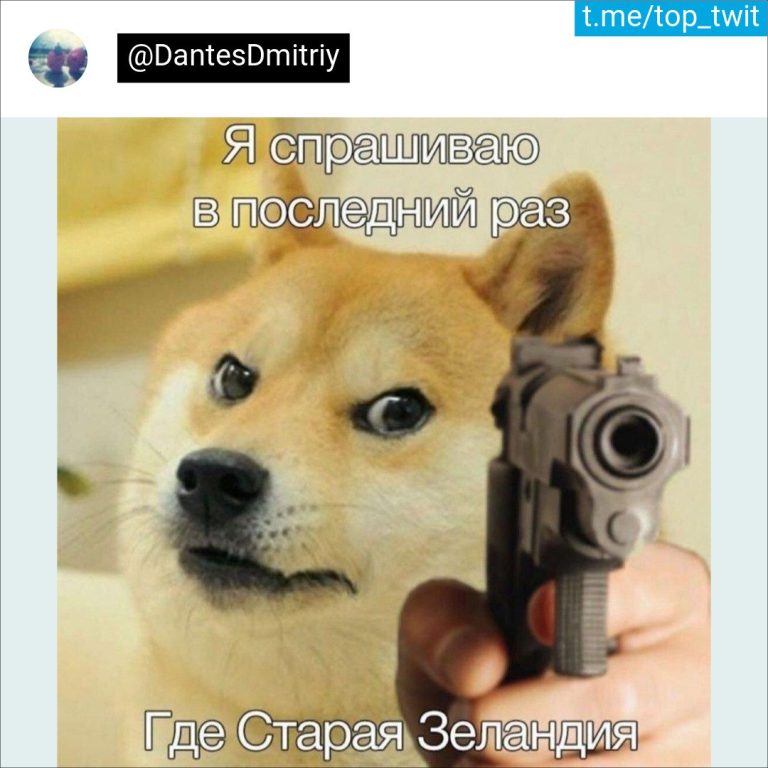 Юмор за день и Старая Зеландия
