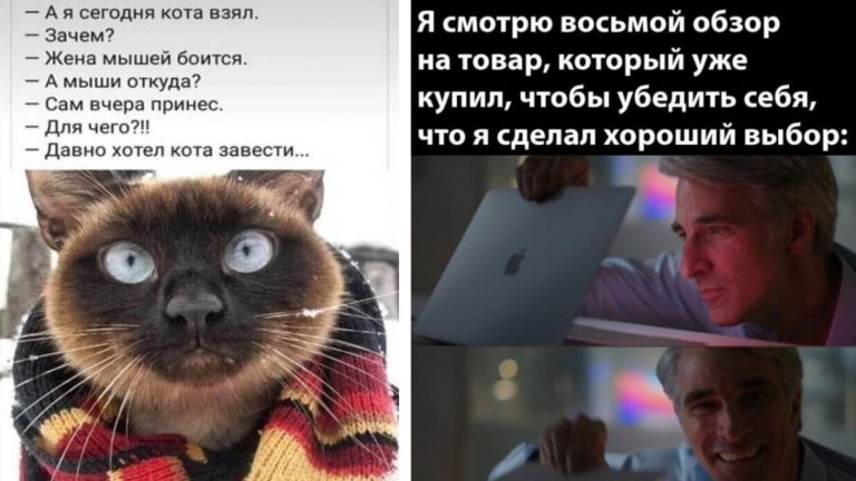 Юмор за день в картинках и боязнь мышей
