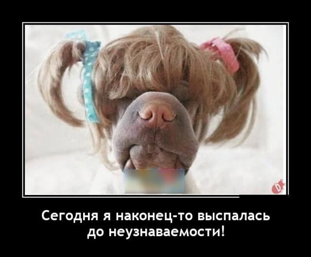 Новые демотиваторы и когда ты выспался