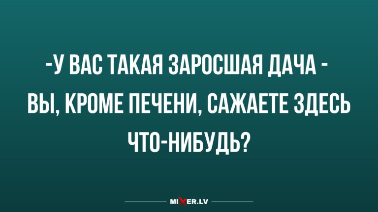 Юмор за день и заросшая дача