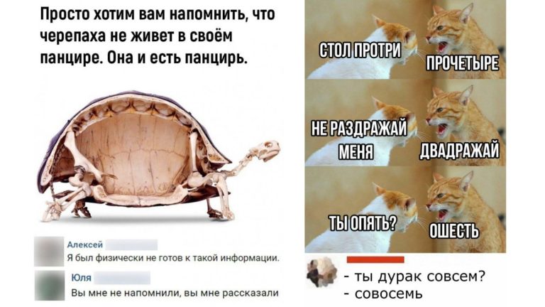 Забавные комментарии, которые как острый соус приправляют сам пост